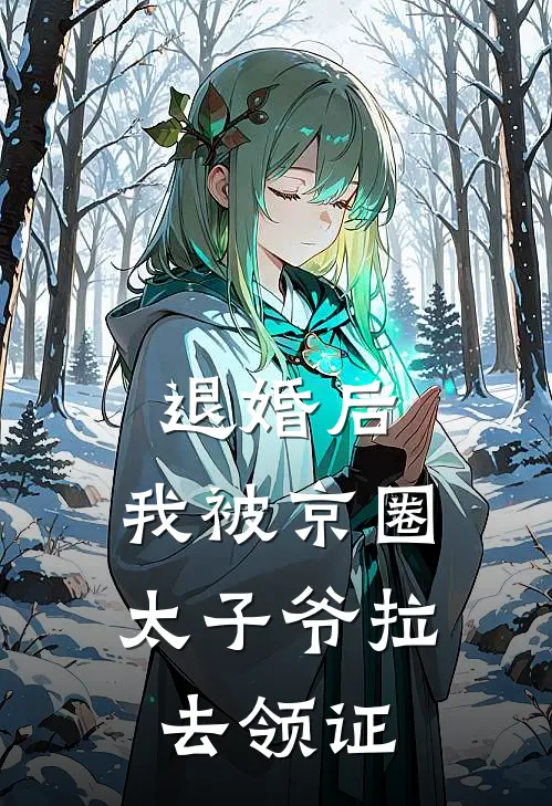 退婚后，我被京圈太子爷拉去领证